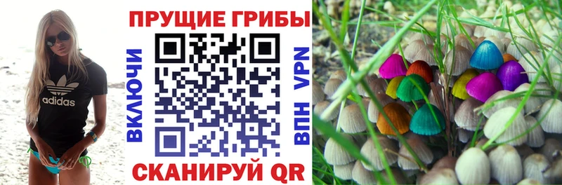 Купить закладки  Сортавала  Псилоцибиновые грибы GOLDEN TEACHER 